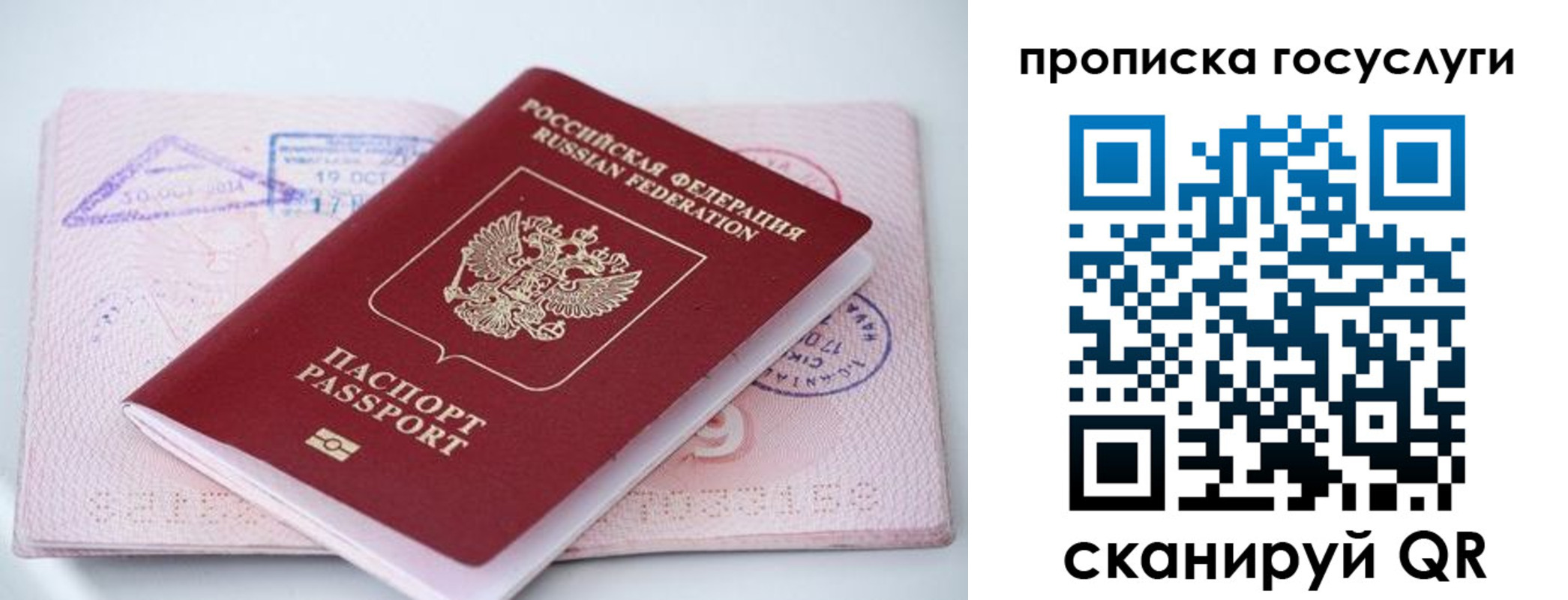прописка законно в Чаплыгине